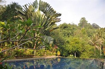 Tiger Rock Pekan Pangkor Exterior foto